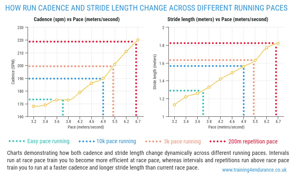 Stride Length Chart Based On Height