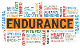 high endurance meaning